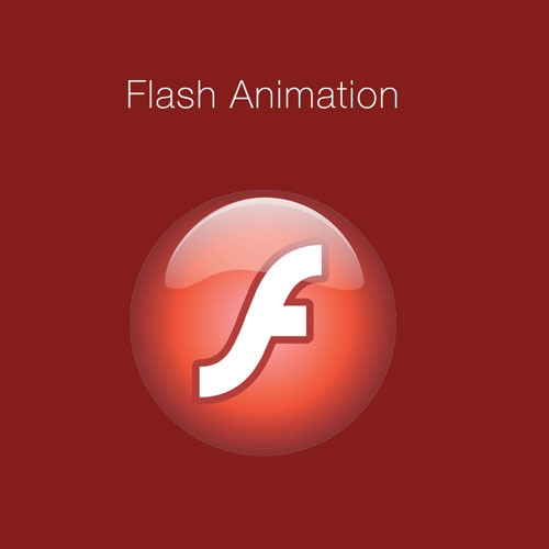 Flash Animations - SEO & Social Media by Top Digital Marketing Company Noida